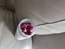 杞里香 玫瑰花茶50g/瓶 平陰重瓣玫瑰花茶大朵泡水養(yǎng)生茶禮品 曬單實(shí)拍圖
