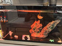 當(dāng)貝智能生態(tài)魚缸1Ultra 一體缸自循環(huán)桌面魚缸 財運石造景套餐 曬單實拍圖