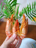 海仙津九節(jié)蝦干即食大蝦干烤蝦干對蝦干特大斑節(jié)蝦干大烤蝦海產(chǎn)干貨 【大號款】九節(jié)蝦干250g 35-45只 曬單實(shí)拍圖