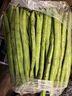 高山四季豆新鮮應季蔬菜豆角豆青現摘現發(fā)炒熟食用京東物流 帶箱1斤 曬單實(shí)拍圖
