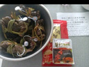 【活蟹】陽澄小斌大閘蟹 鮮活精挑特大螃蟹 公蟹母蟹生鮮水產(chǎn)禮盒 公4.0-4.3兩母3.0-3.3兩 4對8只 曬單實拍圖