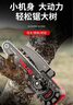 德力西充電高枝鋸可伸縮電動(dòng)加長(cháng)桿鋰電鋸修剪樹(shù)枝園林果樹(shù)單手鋸電鏈鋸 【伸縮可鋸5米高】6.0雙電+3鏈 標配6寸聯(lián)系客服可免費升級8寸鋸 曬單實(shí)拍圖
