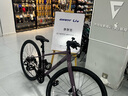 LivAlight 2 DD Disc女士平把16速輕便休閑通勤公路自行車(chē) 紫灰色 700C×370MM XS 建議148-163cm 曬單實(shí)拍圖