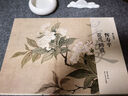 湖山畫(huà)譜  陳淳/沈周/惲壽平/八大山人/任伯年明代清代花鳥(niǎo)畫(huà)高清精校原色臨摹范本單片畫(huà)幅 全套5種 湖山畫(huà)譜（花鳥(niǎo)系列5冊） 曬單實(shí)拍圖