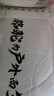 駱駝（CAMEL）【王俊凱同款】戶(hù)外冬季新款極寒派克工裝大毛領(lǐng)加厚羽絨服 流光白，男女同款，A33CAPN145A L 曬單實(shí)拍圖