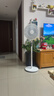 美的（Midea）電風(fēng)扇家用遠距送風(fēng)遙控智能落地扇七葉智能感溫立式電扇宿舍臥室搖頭 【25年新品】升級AI聲控風(fēng)隨溫變款35AS 曬單實(shí)拍圖