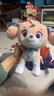 汪汪隊立大功（PAW PATROL）汪汪隊玩具毛絨全套狗狗玩偶公仔男女孩玩具旺旺隊生日禮物 水行毛絨-珊瑚 中號-坐或站高約17~22.9CM 曬單實(shí)拍圖