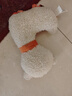 貴為（GiGwi）中小型犬磨牙發(fā)聲響紙狗狗玩具柯基泰迪比熊幼犬小狗寵物玩具羊駝 曬單實拍圖