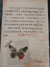 第十三位陪審員 金B(yǎng)I首獎(jiǎng)得主史蒂夫卡瓦納法庭推理代表作懸疑犯罪推理小說暢銷書x的悲劇羅杰疑案東方快車謀殺案贈(zèng)記錄筆記推理卡 小說 曬單實(shí)拍圖