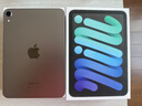 Apple/蘋果 iPad mini (A17 Pro) 8.3英寸 平板電腦(256G WLAN版/mini7/MXNA3CH/A)深空灰色 曬單實(shí)拍圖