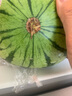 【產(chǎn)地直采】麒麟奶油西瓜 約5.5kg 曬單實(shí)拍圖