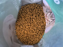 凱銳思天然貓糧成貓糧魚肉海洋魚全價貓糧成貓4斤 曬單實拍圖