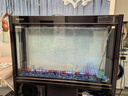 森森森森魚(yú)缸氧氣泵增氧機家用養魚(yú)打氧機養魚(yú)小型YQT-120 8W 裸泵 曬單實(shí)拍圖