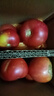 新鮮沙瓤大番茄生吃西紅柿減肥早餐即食新鮮蔬菜生鮮單果＞100g 家庭裝 4斤 帶箱 曬單實(shí)拍圖