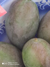 京鮮生 攀枝花凱特芒果 凈重4.5斤 單果300g+ 生鮮水果源頭直發(fā) 曬單實(shí)拍圖
