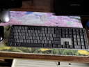 羅技（Logitech）大師系列 MX Mechanical 商務(wù)低噪無(wú)線(xiàn)雙模矮軸機械鍵盤(pán) 智能鍵盤(pán) 全尺寸線(xiàn)性紅軸 曬單實(shí)拍圖