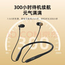 緋樂(lè)H10b無(wú)線(xiàn)藍(lán)牙頸掛脖式耳機(jī)入耳式HiFi發(fā)燒級(jí)跑步運(yùn)動(dòng)超長(zhǎng)續(xù)航電競(jìng)游戲耳機(jī)適用于安卓蘋(píng)果華為 曬單實(shí)拍圖