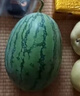 全美2K小糖丸西瓜 2K小糖丸西瓜2-3斤 曬單實(shí)拍圖
