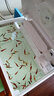 森森（SUNSUN）超白魚(yú)缸一體缸自循環(huán)客廳水族箱桌面家用懶人免換水小型金魚(yú)缸 超白HEJ300標配 帶濾材+棉 曬單實(shí)拍圖