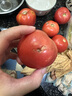 京鮮生沙瓤粉西紅柿 凈重3斤 單果100g+果菜兩吃 源頭直發(fā) 【搜生鮮館】 曬單實(shí)拍圖