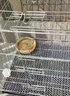 憨憨寵 鴿子籠 家用養(yǎng)殖鳥籠子特大號(hào)繁殖籠折疊配對(duì)籠大型帶隔斷鴿子窩 500# 可折疊鴿子籠 銀色 曬單實(shí)拍圖