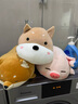 名創(chuàng)優(yōu)品（MINISO）柴犬系列毛絨公仔趴姿玩具娃娃抱枕睡覺室內臥室辦公室生日禮物 曬單實拍圖