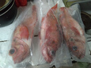 靈略 紅石斑魚(yú)凈重5.1-5.4斤共3條海捕鮮活冷凍大眼魚(yú)整條富貴魚(yú)魚(yú)類(lèi) 曬單實(shí)拍圖