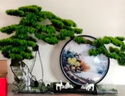 PRUY輕奢高檔新中式擺件綠植仿真迎客松酒店玄關(guān)造景裝飾喬遷搬家禮物 新中式迎客松擺件（江山如畫(huà)大號）送電池盒 曬單實(shí)拍圖