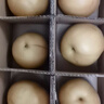正宗山東秋月梨新鮮脆甜多汁當季水果萊陽(yáng)冰糖梨蜜梨沐真 帶箱5斤中果 曬單實(shí)拍圖