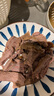 大莊園 進(jìn)口草飼原切牛腱子凈重2斤 生鮮牛肉 醬鹵燉煮食材【真原切】 曬單實(shí)拍圖