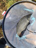船長(cháng)漂魂系玩家純手工蘆葦釣魚(yú)漂高靈敏輕口鯽魚(yú)漂醒目黑坑鯉魚(yú)浮漂套裝 曬單實(shí)拍圖