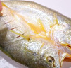 黃小漁寧德黃魚(yú)鲞400g/2條 三去大黃魚(yú)黃花魚(yú)生鮮 海鮮水產(chǎn)燒烤魚(yú)類(lèi)中秋 曬單實(shí)拍圖