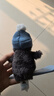Jellycat花生企鵝雪板裝毛絨玩具安撫公仔禮物2025圣誕新品送禮生日禮物 灰色 Small 曬單實(shí)拍圖