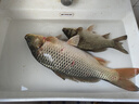 富源百川318二代鰱鳙釣魚竿湖庫(kù)輕量大物桿巨物魚竿4.5m 曬單實(shí)拍圖
