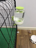 智宙兔子飲水器倉鼠水壺兔子水壺飲水器喝水龍貓荷蘭豬滾珠喂水喂食器 滾珠飲水器-900ml【綠色】 曬單實拍圖