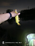 沃鼎王者神劍三代釣魚(yú)竿碳纖維超輕鯽魚(yú)竿大物竿魚(yú)桿臺釣竿4.5米 5.5H 曬單實(shí)拍圖