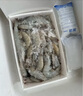 當天海捕鮮活冷凍水產(chǎn)青島大蝦4斤裝白對蝦基圍蝦青蝦鹽凍蝦特大 3.5斤(凈重)  帶冰4斤凈蝦3.5斤 13-15厘米（70-80只） 曬單實(shí)拍圖
