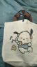 小熊帆布包女學(xué)生便攜上班帆布兜手提包手拎便當(dāng)帆布袋 帕恰狗（帶按扣）活動(dòng) 曬單實(shí)拍圖