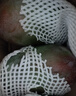 京鮮生 攀枝花凱特芒 凈重8.5斤 帶箱9斤 單果600g+ 生鮮水果 源頭直發(fā) 曬單實(shí)拍圖