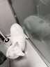水衛(wèi)士管道疏通劑強力溶解500g*2瓶 廁所馬桶下水道廚房地漏浴室除臭劑 曬單實拍圖