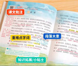 2025斗半匠課堂筆記六年級上冊語(yǔ)文人教版黃岡學(xué)霸筆記教材全解小學(xué)六年級同步教材課前預習課后復習輔導書(shū) 曬單實(shí)拍圖