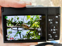 松下（Panasonic）ZS99 長(cháng)焦便攜數碼相機/卡片機 30倍光學(xué)變焦 小巧便攜 Type-C接口 銀色 曬單實(shí)拍圖