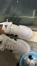 阿迪達斯adidas官方板鞋男鞋女鞋秋季新款低幫滑板鞋經(jīng)典時(shí)尚運動(dòng)休閑鞋 HP9426【官方正品 假一賠十】 38.5 曬單實(shí)拍圖