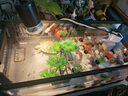 寵小島混養(yǎng)缸魚缸烏龜缸飼養(yǎng)缸魚龜混養(yǎng)生態(tài)一體缸過濾制氧懶人新手魚缸 京倉發(fā)貨【奢華款】黑色+燈+過濾+造景+抽水 中號(38.8x21.5x21.2cm) 曬單實拍圖