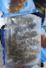 宮壹大連即食海參1斤15-25只 固形物超75%底播刺參鮮活海參加工免泡發(fā) 曬單實(shí)拍圖