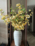 Harbor House美式家居仿真樺樹(shù)枝裝飾假花仿真綠植枝葉客廳臥室軟裝飾品 Birch 仿真樺樹(shù)枝 1支 曬單實(shí)拍圖