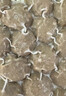 潮夫道純牛肉丸250g 牛肉含量＞95%正宗潮汕手打火鍋食材關(guān)東煮燒烤丸料 曬單實(shí)拍圖