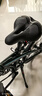 大行（DAHON）D9折疊自行車(chē)20英寸9速鋁合金車(chē)架男女運(yùn)動(dòng)碟剎款折疊車(chē)ECA093 綠色 曬單實(shí)拍圖