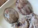 鮮喜利新鮮大墨魚(yú)鮮活冷凍墨魚(yú)仔超大生鮮水產(chǎn)海鮮烏賊目魚(yú)整只不泡藥 【中號2只裝】每只約 250g(凈重) 曬單實(shí)拍圖