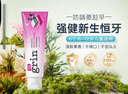 grin兒童牙膏含氟防蛀3-6-12歲寶寶嬰幼兒青少年牙膏70g莓果味 曬單實(shí)拍圖